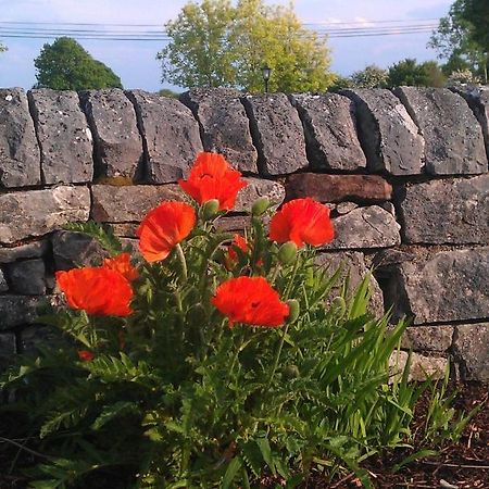 Ashfield House B&B Cong Eksteriør bilde